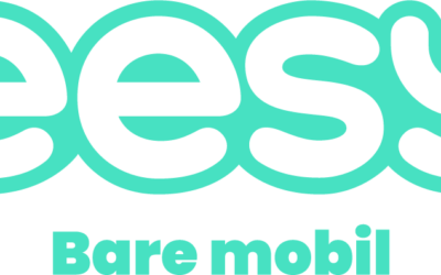 eesy